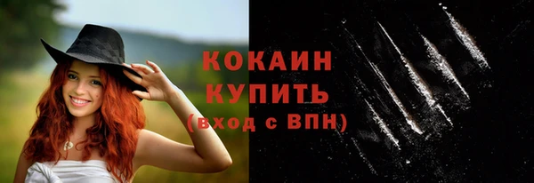 2c-b Богородицк