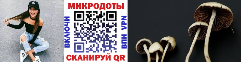 Псилоцибиновые грибы Cubensis  купить наркоту  Улан-Удэ 
