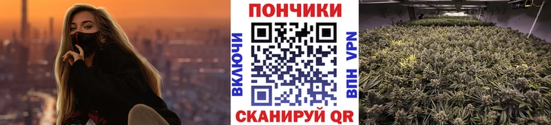 МАРИХУАНА семена Улан-Удэ
